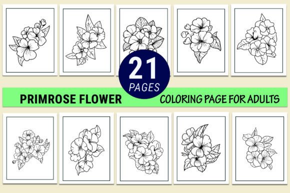Evaluating the Primrose Graphics for Client Branding Projects