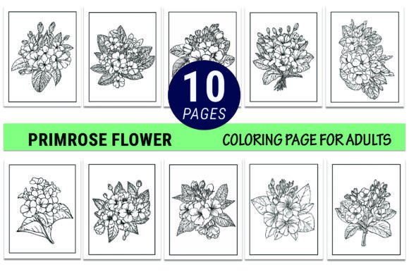 My Honest Review of the Fubruary Birth Flower Primrose Graphics