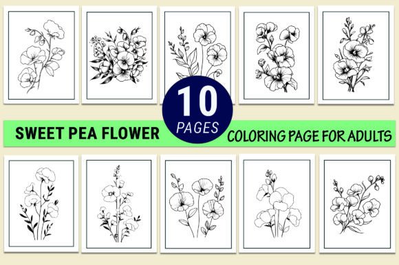 Sweet Pea Vector Drawing Pages: A Crafter's Practical Review